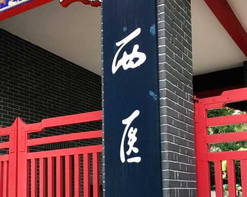 拉拉同志试管